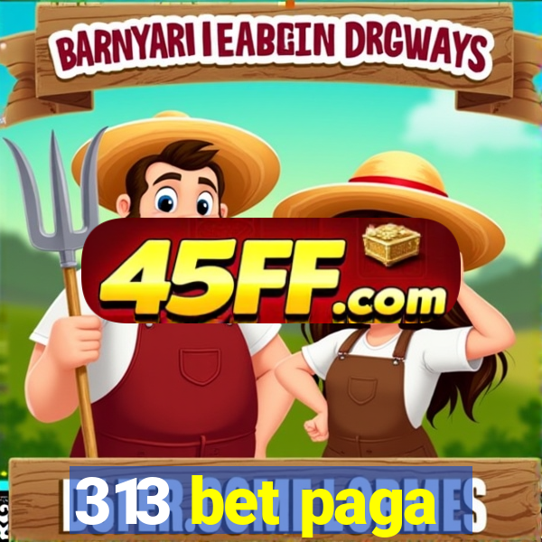 313 bet paga